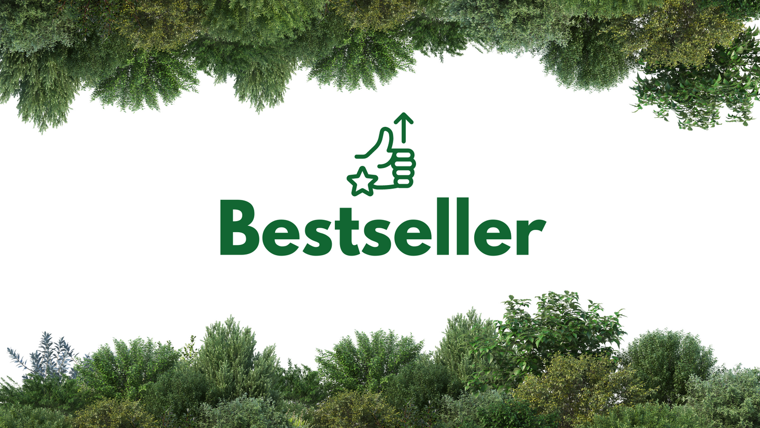 Bestsellers